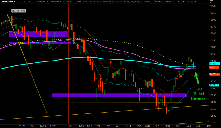 Nasdaq--SO--ShakeOut--Bullish Reversal