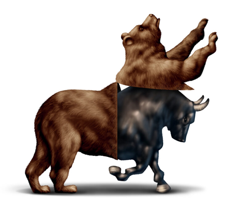 Bear to Bull Market